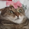 FlowerOfLove