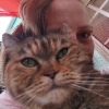 heike88