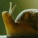Schnecken