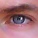 -SehlenBlick-